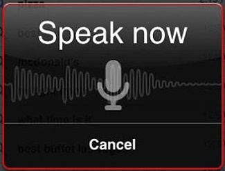 google voice search ipad