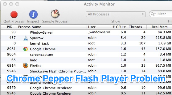 update adobe pepper flash player