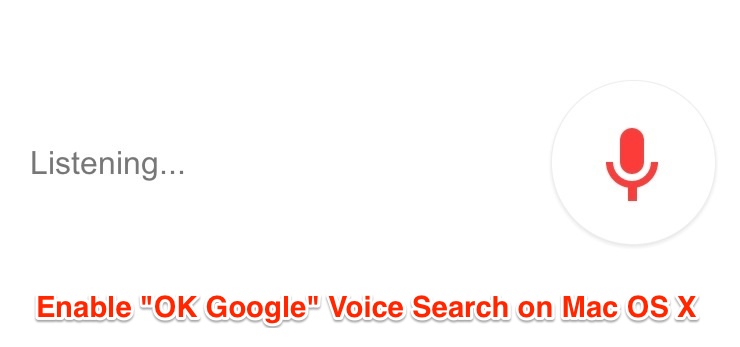 Google voice search for computers app