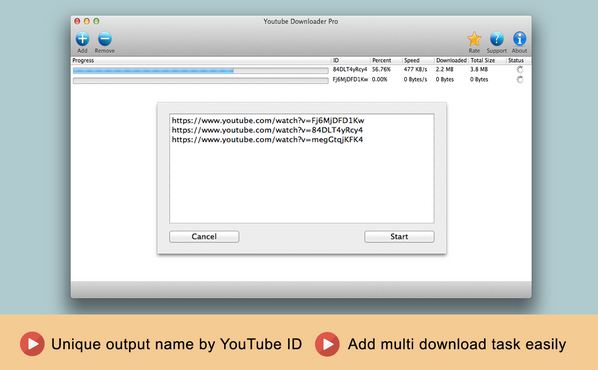 YouTube Video Downloader Pro 6.5.3 download the new version for mac