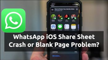 whatsapp ios share sheet not working